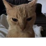 ¡ً