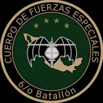 6/o. Batallon de Fuerzas Especiales-MILSIM