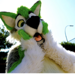 A Furry Hangout!!
