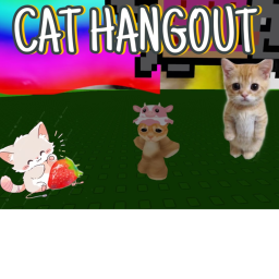 Cat hangout!