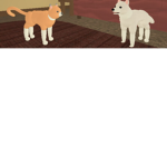 Dog & catclub