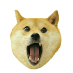 Doges Doggos whateva