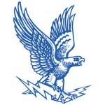 the all mighty falcons