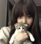 Wendyyyy_ita
