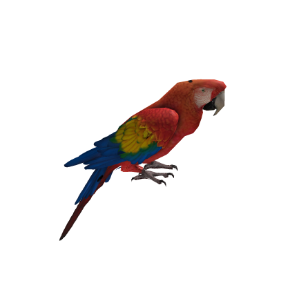 cute parrot ara colorful jungle animal pirate Roblox item