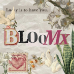 Bloomx’