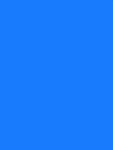 #Teamblau Team der Blauen