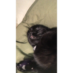 MiaZ<3
