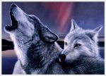 lone wolves