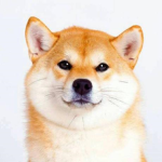 Doge Caretakers