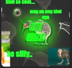 " Kiwi Games "