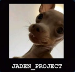 PROJECTS PROS