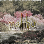 malibu ‘