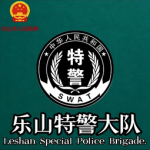 [LSSRP] 乐山市特警支队 Leshan SWAT RP