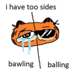 A_Person's Fandom Group