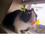 Puuuuppppet where are u here silly