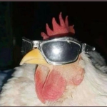 Áudio Hzz