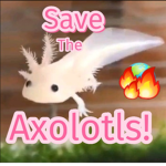 %~Axolotl squad~%