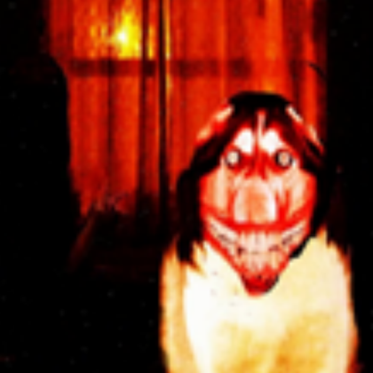 Smile Dog Roblox decal
