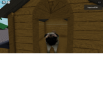 Doggo Studios!!!