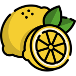 Freshly UGC