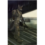 Military furry army