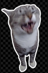 Samuplays gang