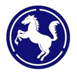 백마부대_The 9th Infantry Division|Group