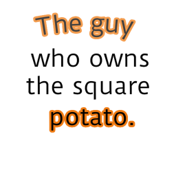 The person who owns the square potato