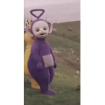 The Fuzzy Bears