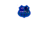 Ice Bloxxers Football Club