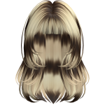 Brown Blonde Halo Striped Hair 
