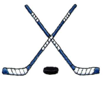 RCAA Hockey