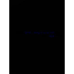 SECRET 404