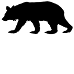 Da Team Bears