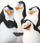 The group of many different penguins