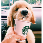 Sophie and pup