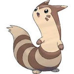FurretChaos