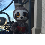 Sloths official group!!