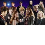 Harry Potter rules 101