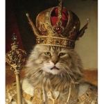 THE GRAT CATS