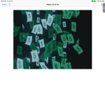 Moneyboiwill and the squad