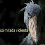 Família dos cães galácticos (Oficial)