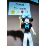 Foche Cinesi Di Ilah
