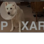 Cool/Rare Username Group