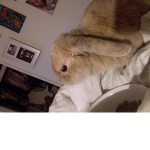 Charlybearfan and SJRBO2
