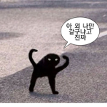 블랙+화이트=회색방