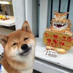 Team Dog-go