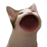 Pop Cats Nation