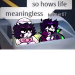 Lifes Meaningless